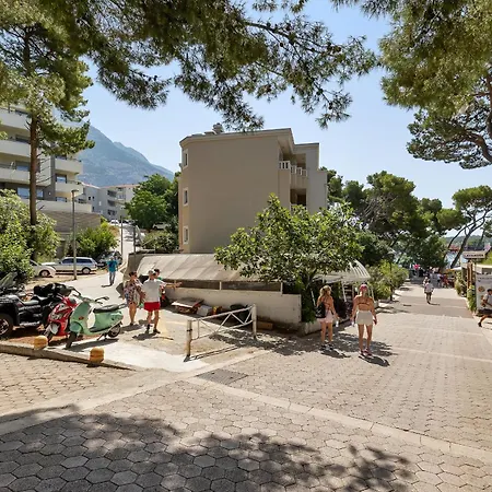 Beachfront Sea Srzic Apartment